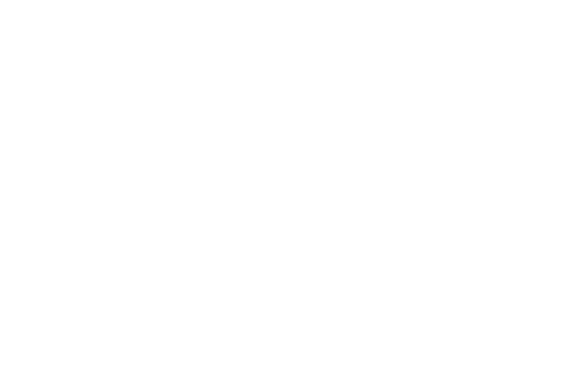 Weber Tech Solutions